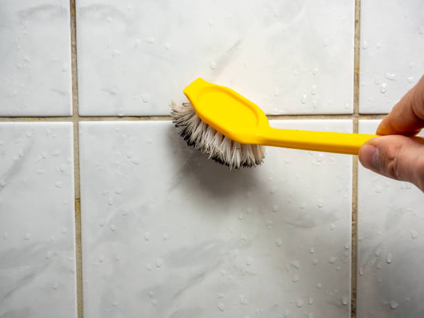 Best Black Mold Removal  in Flora, AL