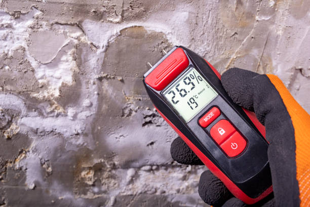 Best Water Damage Restoration  in Flora, AL