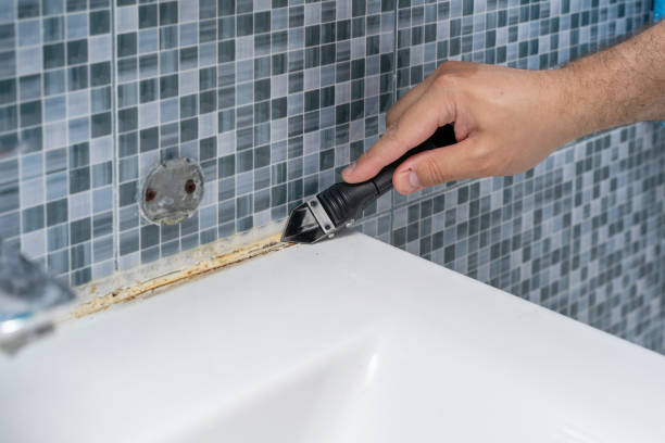 Best Home Mold Removal  in Flora, AL